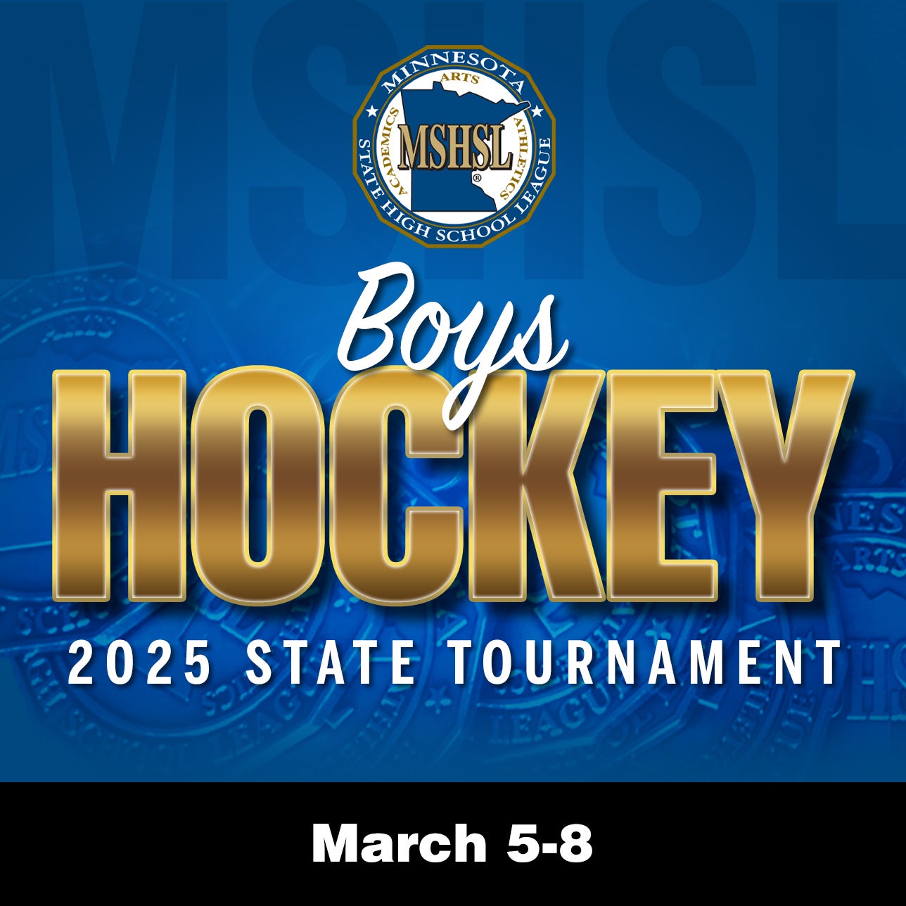 MSHSL Boys Hockey State Tournament